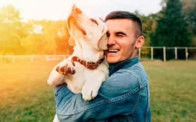 Canguro para tu mascota Canguro para mascotas