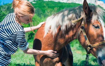 Mujer acariciando a un caballo con cólico equino