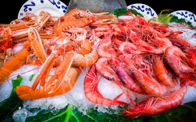 Cómo comprar marisco Marisco en el mercado