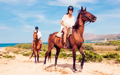 Cómo y cuándo aprender a montar a caballo