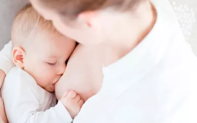 El destete del bebé El destete del bebé