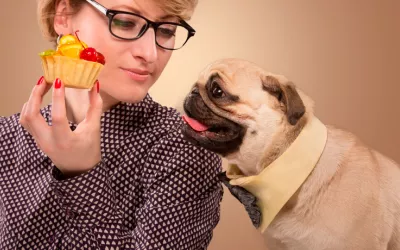 Alimentos prohibidos para los perros