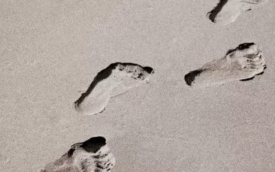 Estudio de la pisada