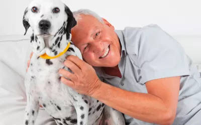 Perros para personas mayores
