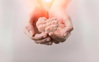 Abortos de repetición Aborto de repetición