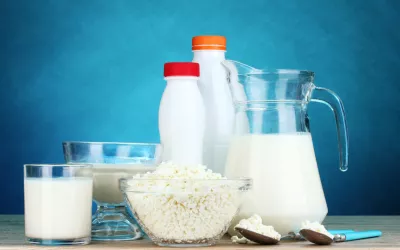 Dieta en la osteoporosis Importancia de la dieta en la osteoporosis