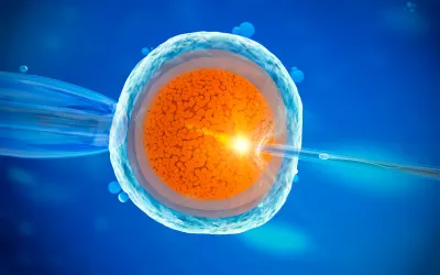 Dudas infundadas sobre la reproducción asistida