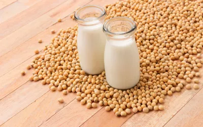 Fitoestrógenos para la mujer mayor Fitoestrógenos para la mujer mayor