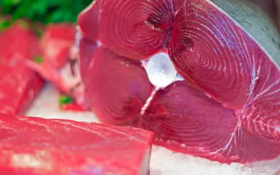 Fraudes del atún rojo