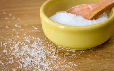 Glutamato monosódico