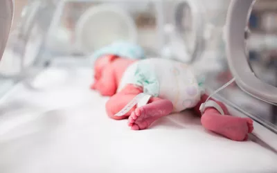 Bebé dentro de la incubadora