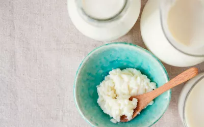 Kéfir, el rey de los probióticos Kéfir, el rey de los probióticos