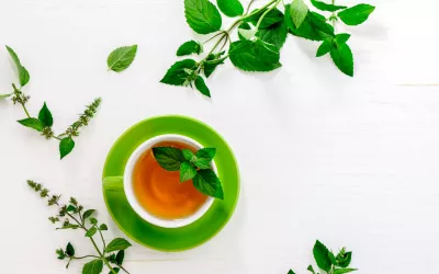 Menta: frescor y salud