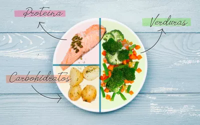 Método del plato ilustración