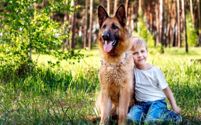 Pastor alemán Niño con su pastor alemán