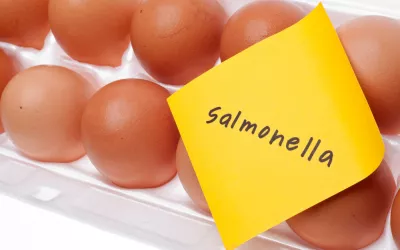 Salmonelosis Infección por Salmonella