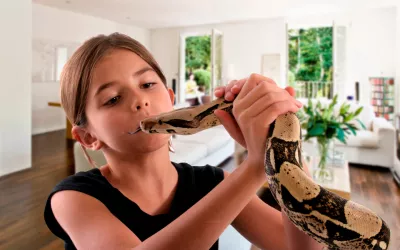 Serpientes en casa Niña jugando con una serpiente