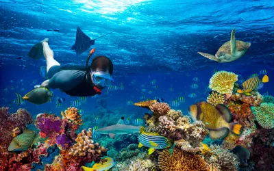 Snorkel: sumérgete en otro mundo Snorkel: sumérgete en otro mundo