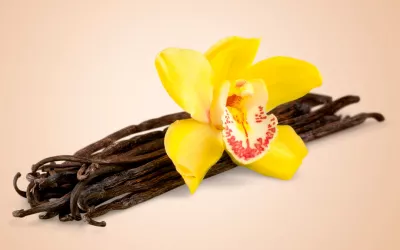 Vainilla, aromatiza y ayuda a mejorar la digestión Flor de la vainilla