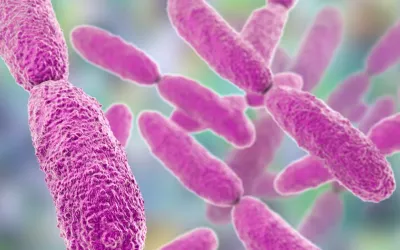 Klebsiella, una peligrosa bacteria multirresistente