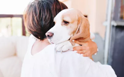 Depresión en el perro