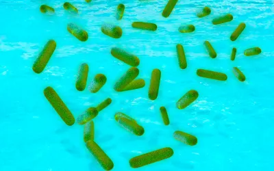 Legionella, cómo se contagia Legionella