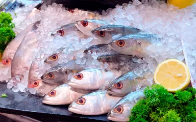 Beneficios de comer pescado Cómo comprar buen pescado