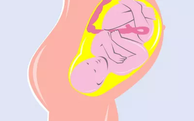 Líquido amniótico: funciones y posibles alteraciones Líquido amniótico