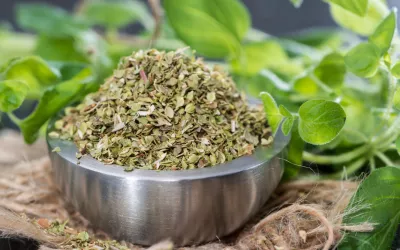 Orégano, prodigioso agente antiséptico y digestivo Orégano