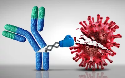 : Anticuerpos, cuál es su función Anticuerpos