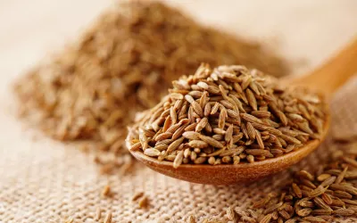 Comino, el condimento que favorece la digestión Comino