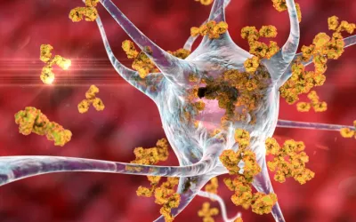 Mielitis transversa Ilustración de anticuerpos atacando neuronas