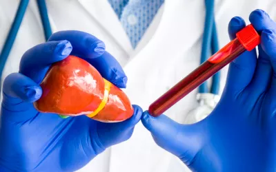 Transaminasas altas, por qué suben Transaminasas altas