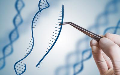 CRISPR, herramientas de edición genética