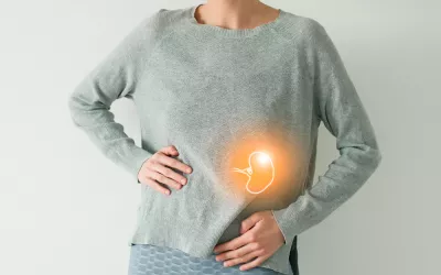 Vivir sin bazo, ¿cómo afecta a la salud? Ubicación del bazo en el organismo humano