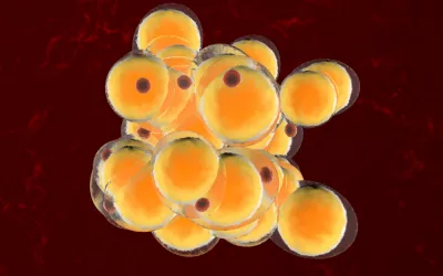 Lipoproteínas y colesterol, cómo mejorar su niveles Lipoproteínas y colesterol