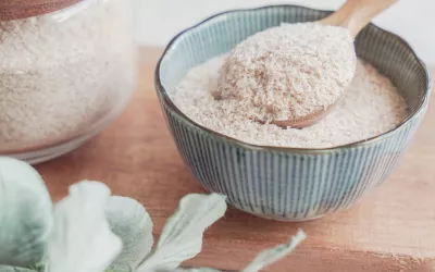Psyllium, usos y virtudes de esta fibra laxante Psyllium