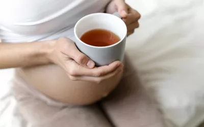 Plantas medicinales en el embarazo Plantas medicinales en el embarazo: cuáles evitar