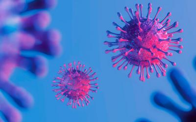 Variante india del coronavirus 'doble mutante'