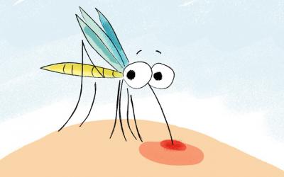 ¿Por qué me pican los mosquitos?
