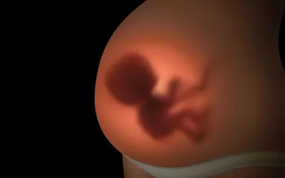 Sufrimiento fetal: causas, riesgos y cómo detectarlo 