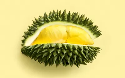 Durian, cómo se come la fruta tropical más apestosa Durian, la fruta más apestosa