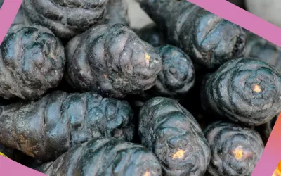 Mashua negra, propiedades del anticancerígeno andino Mashua negra, el tubérculo andino