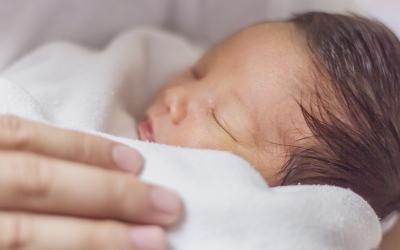 El microbioma materno para el desarrollo de la placenta y el feto