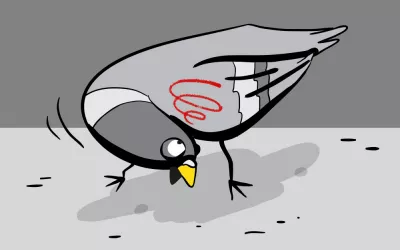 Virus de las palomas zombis o enfermedad de Newcastle Ilustración de una paloma 'zombie'