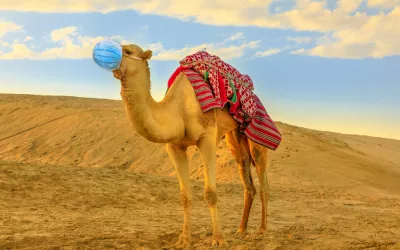 El virus del camello Camello con mascarilla en el desierto