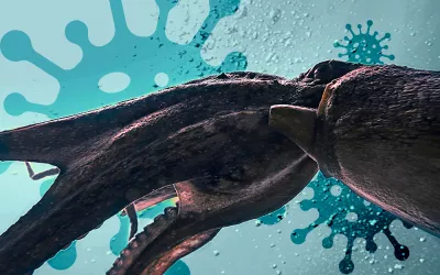 Kraken, una variante del coronavirus ¿más contagiosa? El kraken, un monstruo marino mitológico