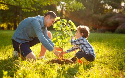Un padre plantando un árbol junto a su hijo