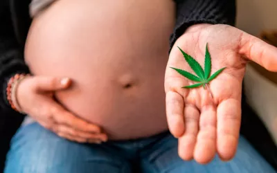 Mujer embarazada mostrando una hoja de cannabis