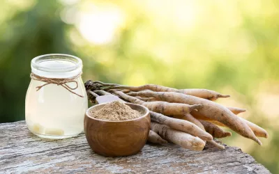 Asparagus racemosus Willd. o shatavari